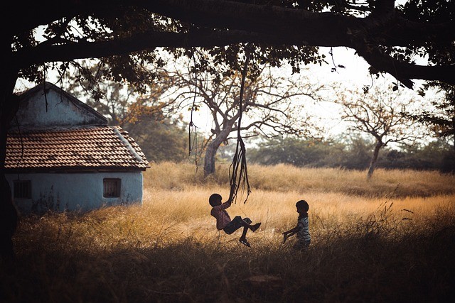 Two children playing on a rope swing under a big tree.