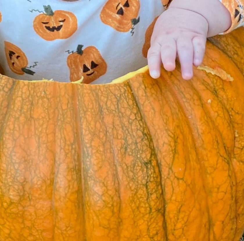 Baby touching a pumpkin.