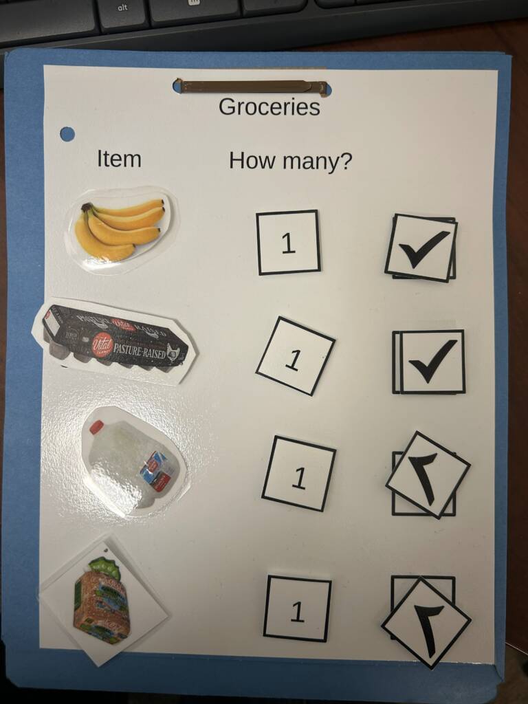 Grocery list with real pictures on Velcro with checks and how many of each item. 