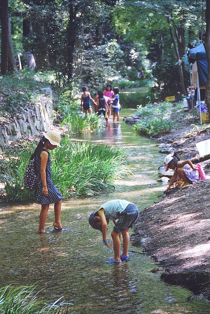 Several upper elementary aged students playing and exploring in a stream that is up to their ankles. 
