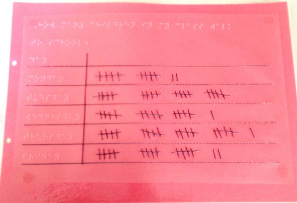 Tactile tally chart with braille text