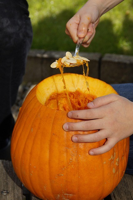 Child scooping out a pumpkin.