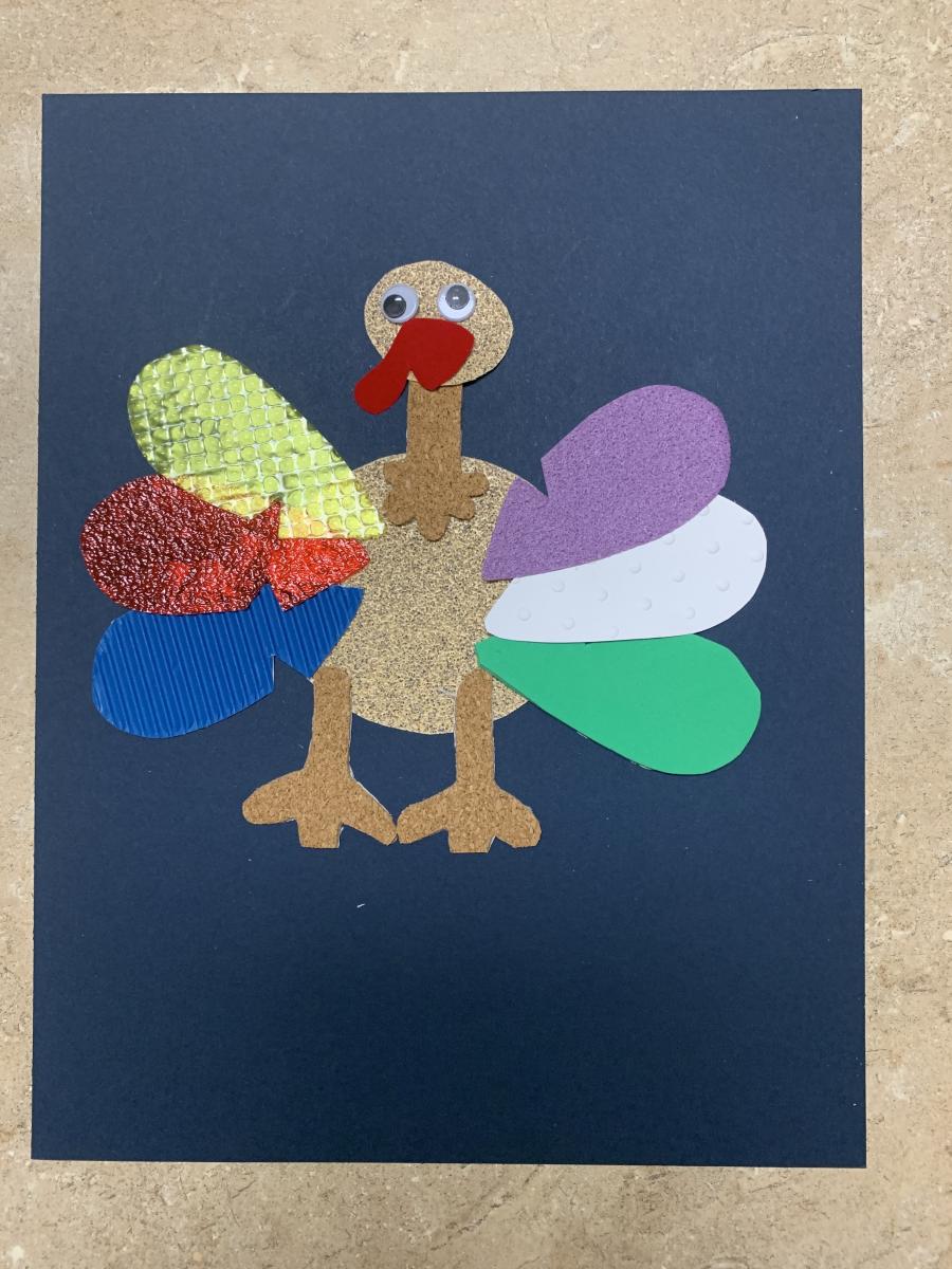 Turkey with feathers