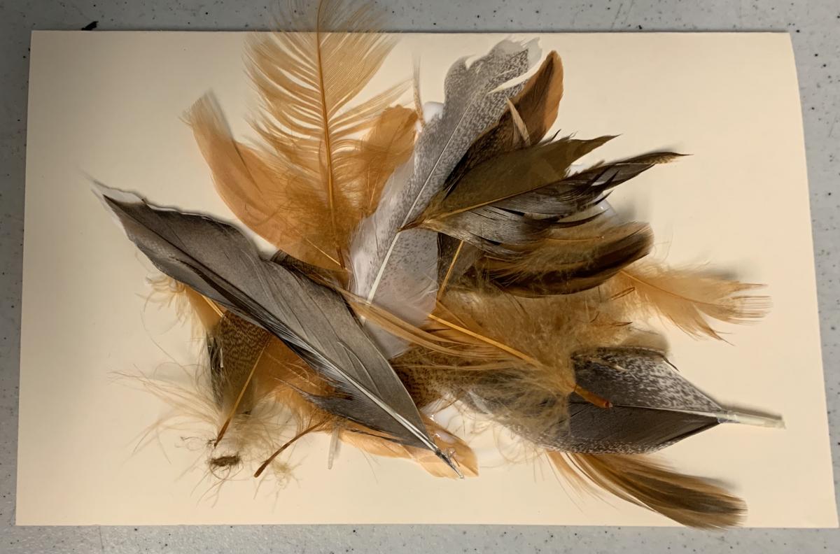 Feathers