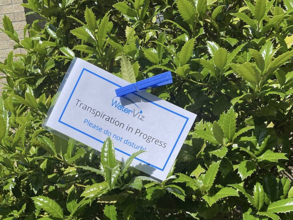 Photo of a Ziplock bag closed around leaves on a bush beside a sign that reads “Transpiration in Progress. Please do not disturb!”. Water condensation is visible inside the bag.