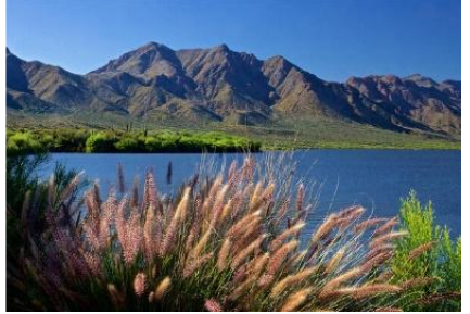 Landscape with mountains in back, body of water in the middle, and plants in the front. 