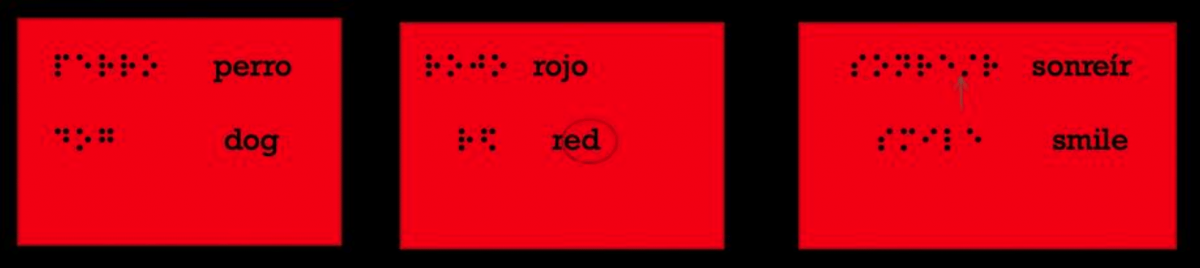 Flashcard examples in Simbraille and text of dog, red, and smile in Spanish and English