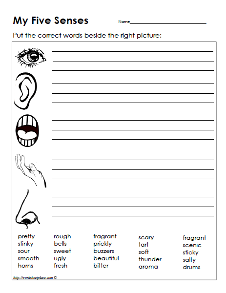 Worksheet of "My Five Senses"