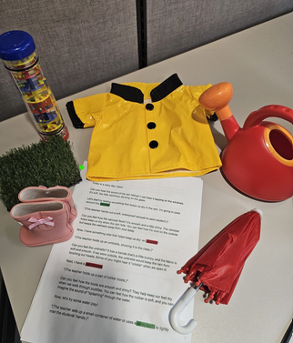 Weather lesson with a raincoat, watering can, fake grass, rainstick, umbrella, rainboots, and a raincoat. 