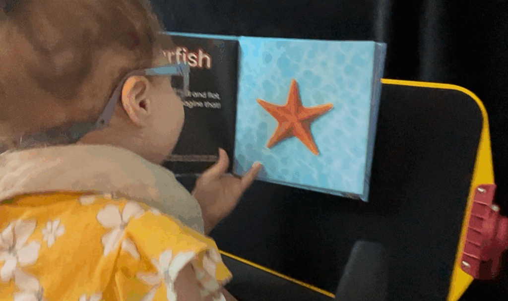 Moira looking at a page that has a starfish on it. 